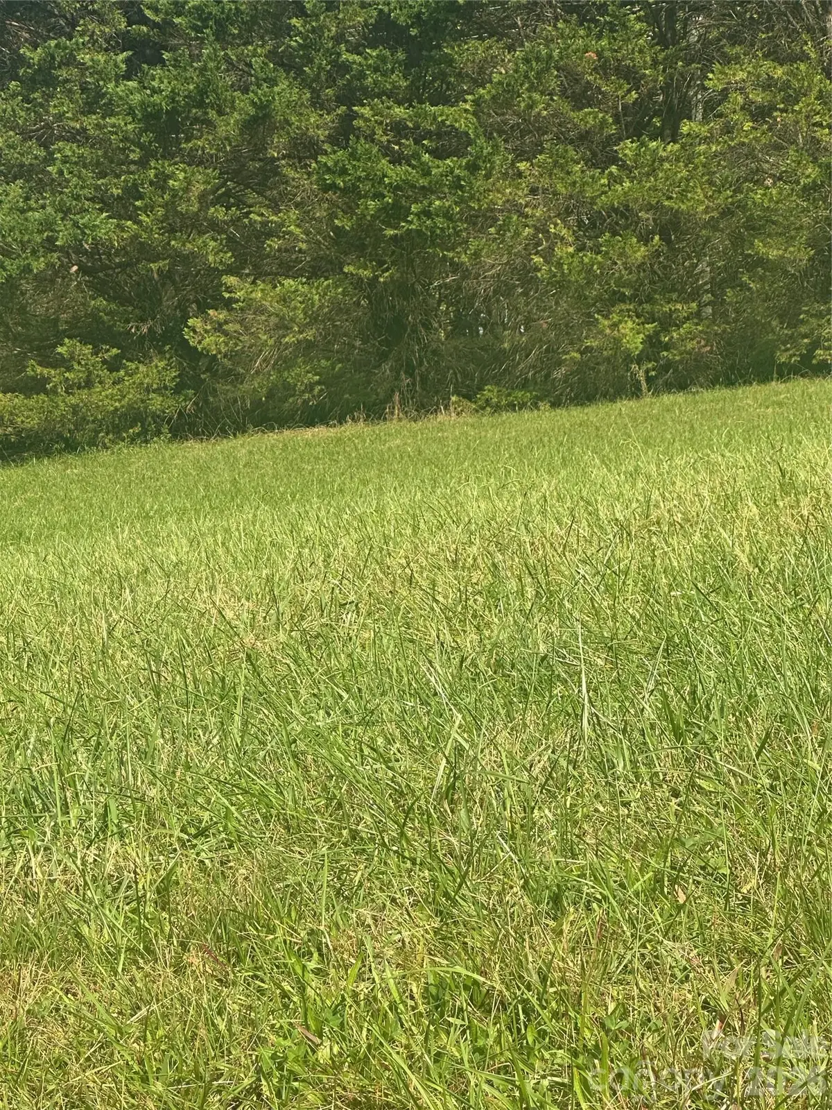 Lot 104 Parson Lane #104, North Wilkesboro, NC 28659 - #1