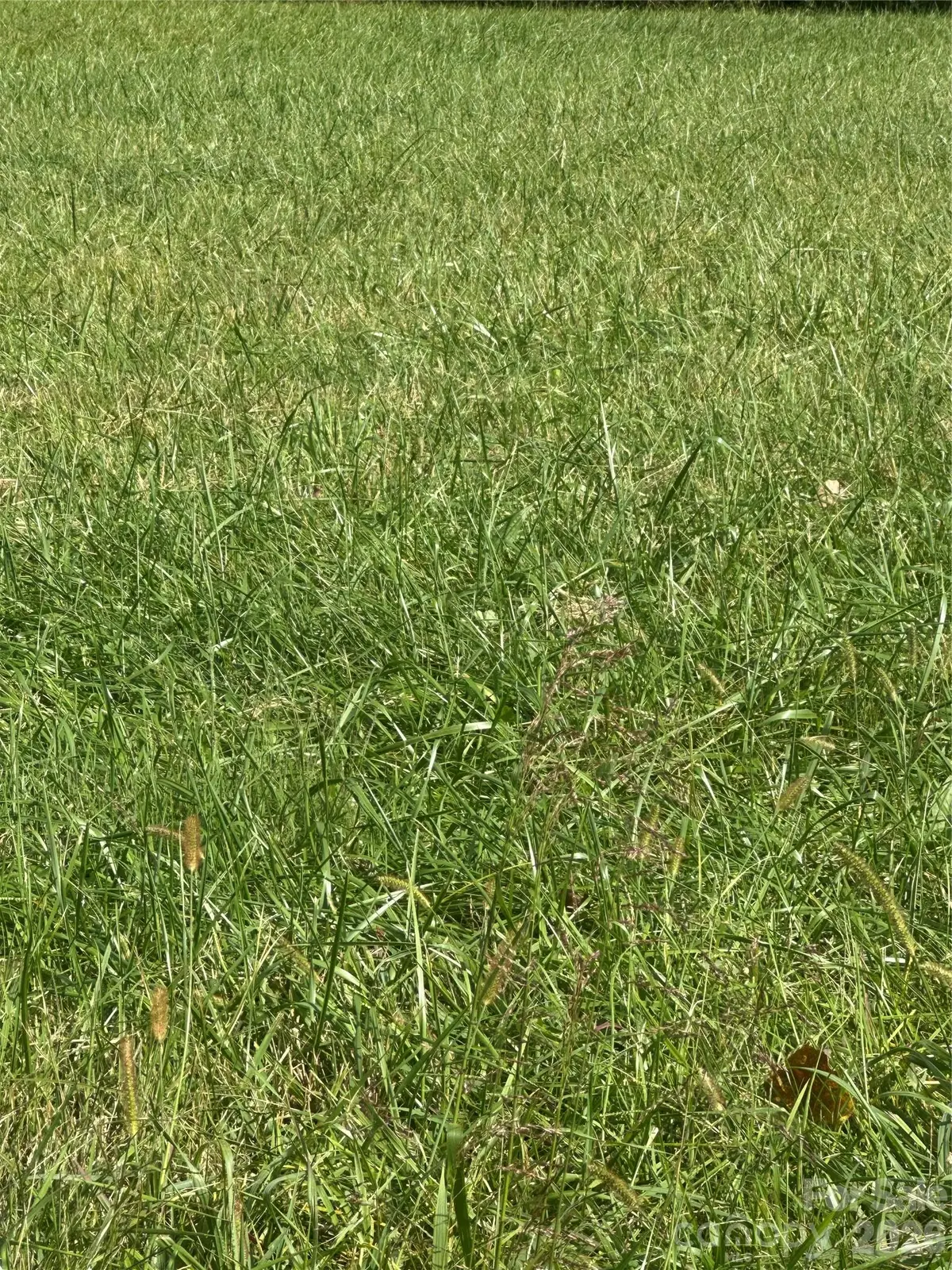 Lot 102 Parson Lane #102, North Wilkesboro, NC 28659 - #1