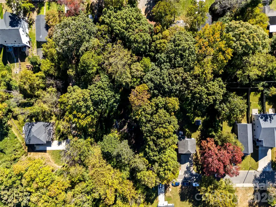 805 Holland Avenue, Charlotte, NC 28206 - #2