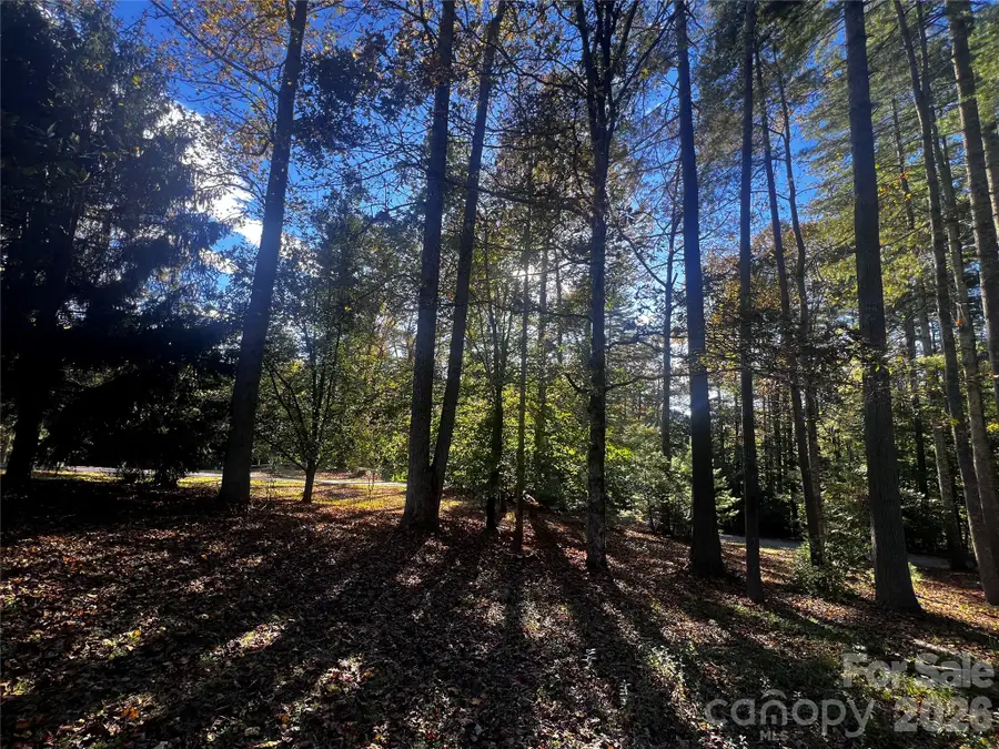 13 Pinecrest Drive, Brevard, NC 28712 - #3