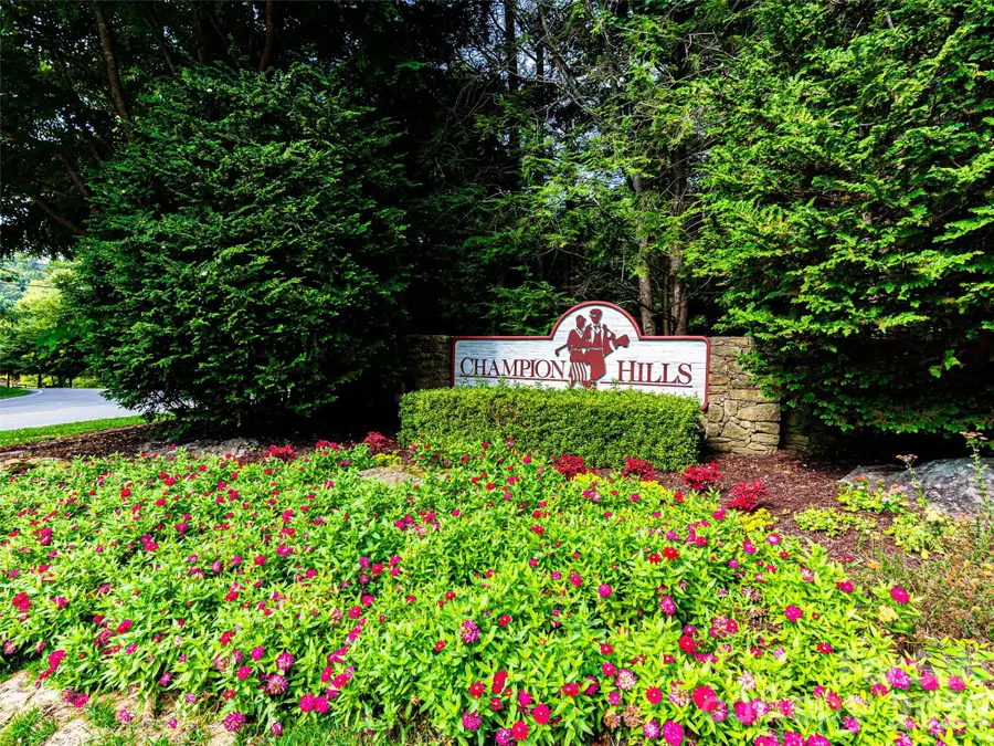 153 Chattooga Run, Hendersonville, NC 28739 - #3