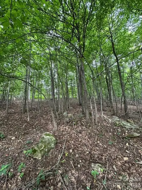 0 Threadway Ridge Drive #1&2, Moravian Falls, NC 28654 - #3