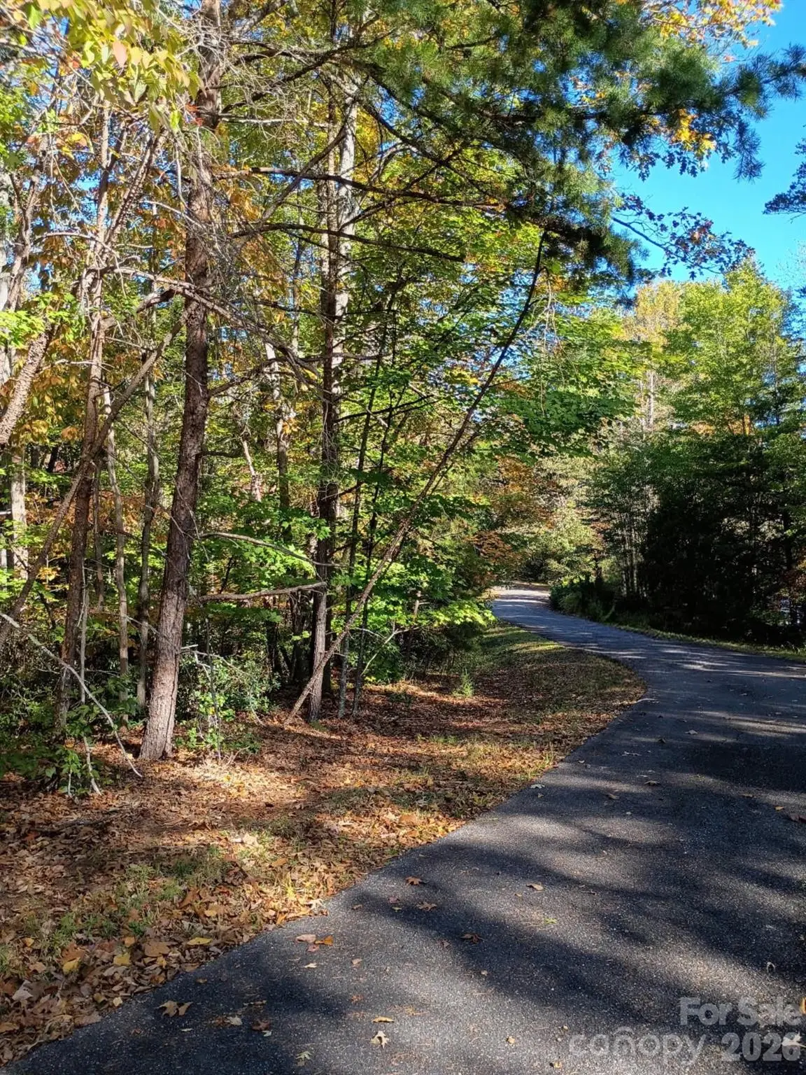 3 Rome Court, Lake Lure, NC 28746 - #1