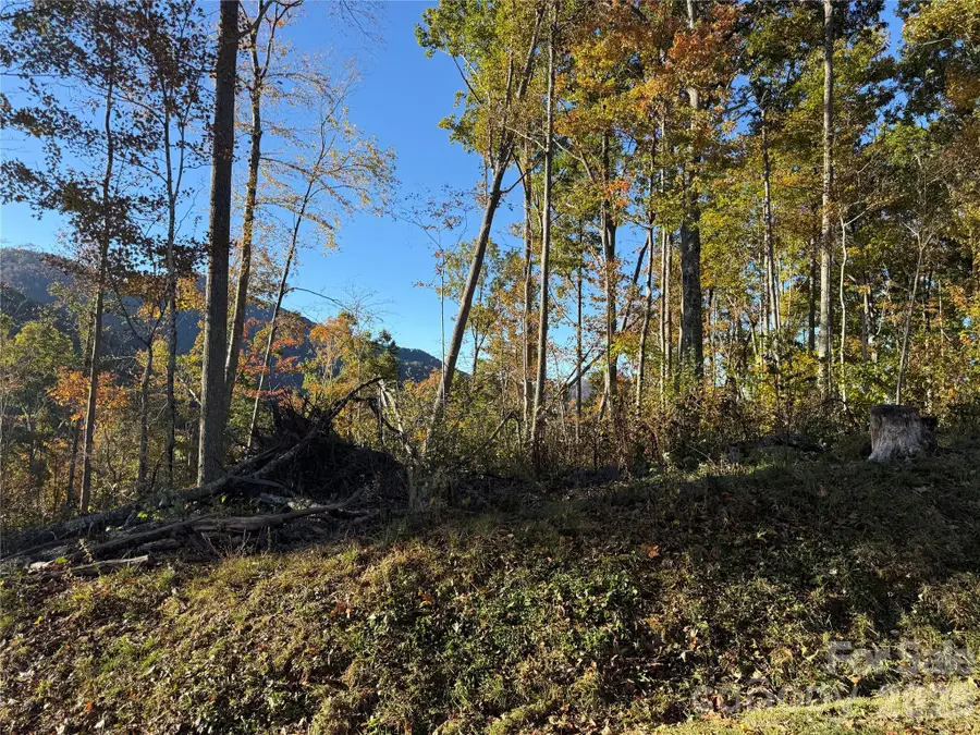 Lot 6 Ridgerunner Road S, Burnsville, NC 28714 - #3