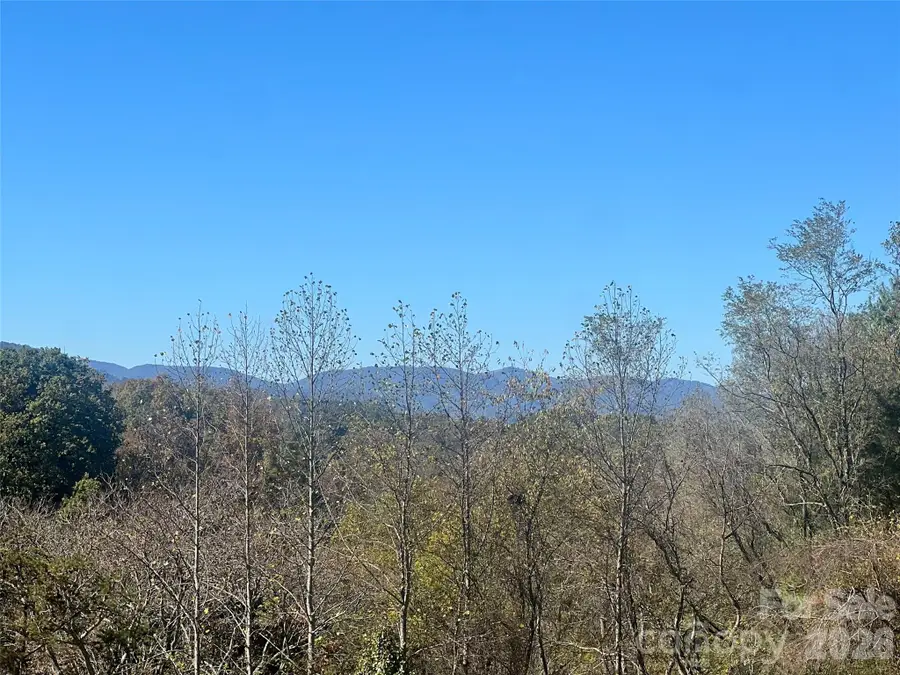 112 Max View Drive, Leicester, NC 28748 - #3