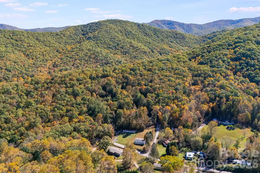 20 Santeelah Drive, Candler, NC 28715 - #3