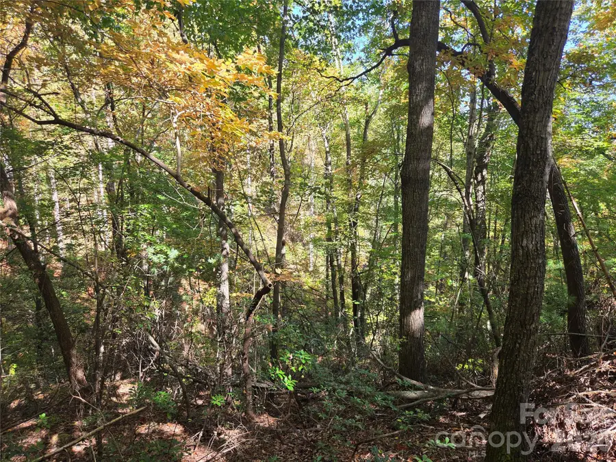 29 Elk Ridge Road #EH 29, Ferguson, NC 28624 - #3