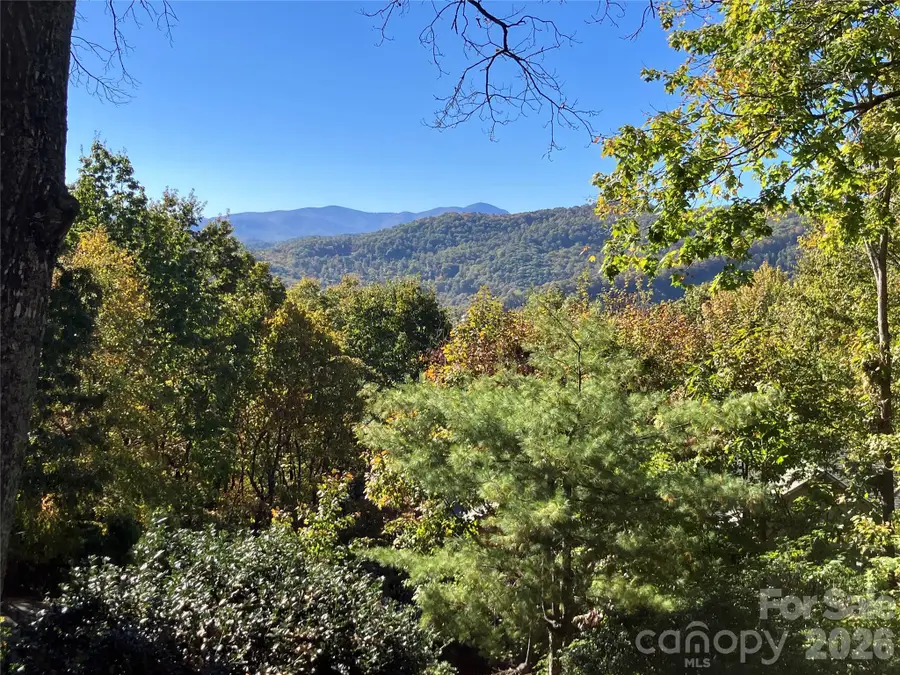 20 Wild Cherry Drive, Mills River, NC 28759 - #2