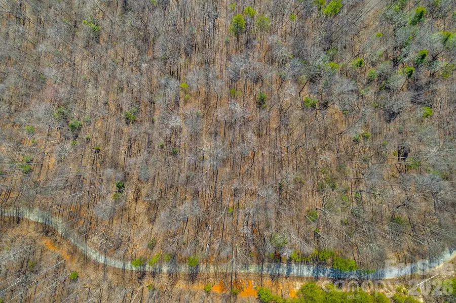 00 Champagne Ridge, Lake Lure, NC 28746 - #3
