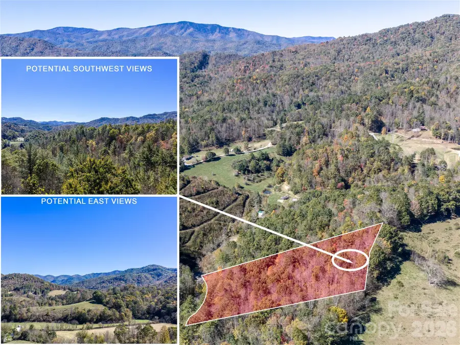 00 Shelton Laurel Road, Clyde, NC 28721 - #2