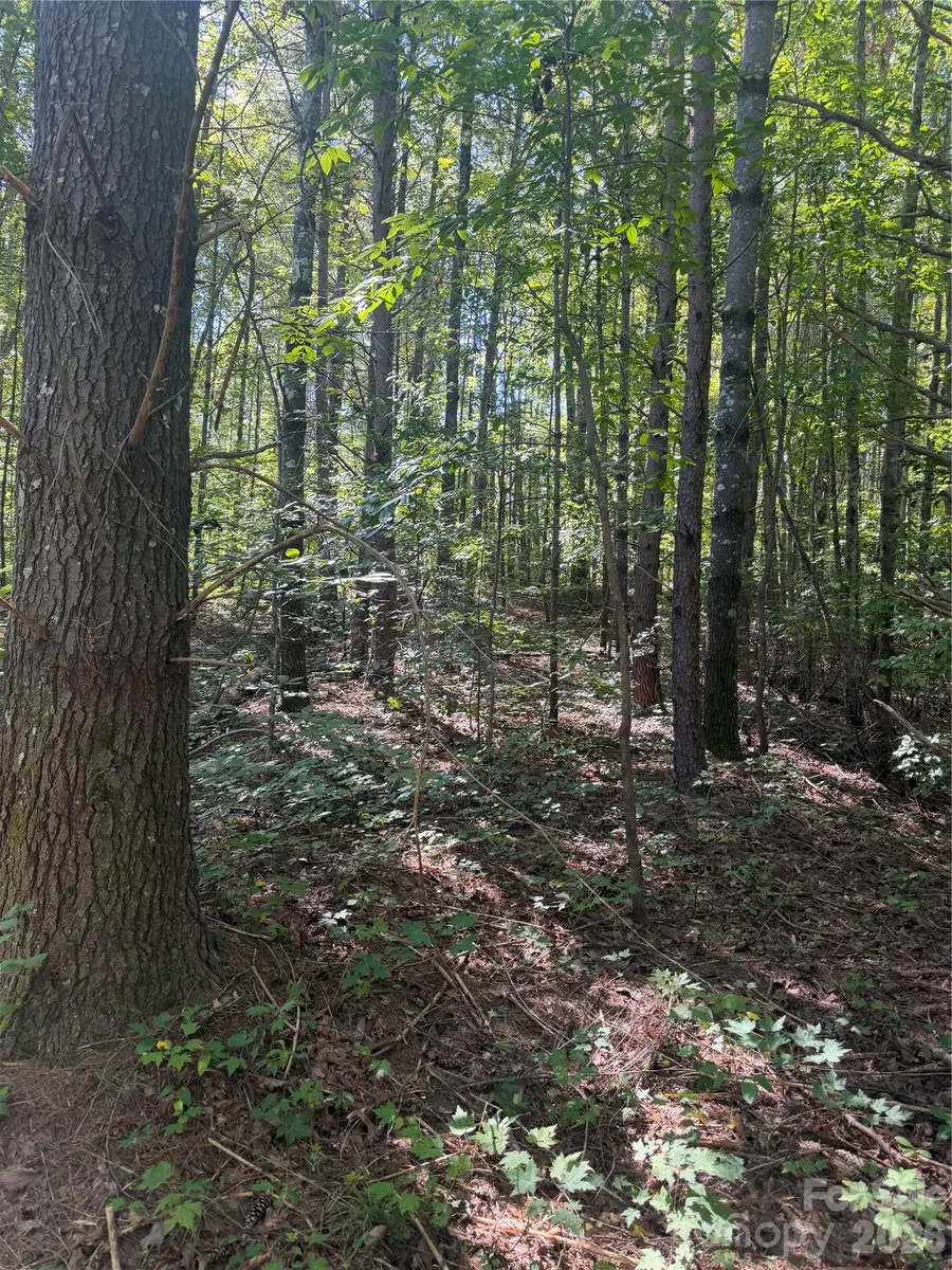 000 Old Neal Road, Marion, NC 28752 - #2