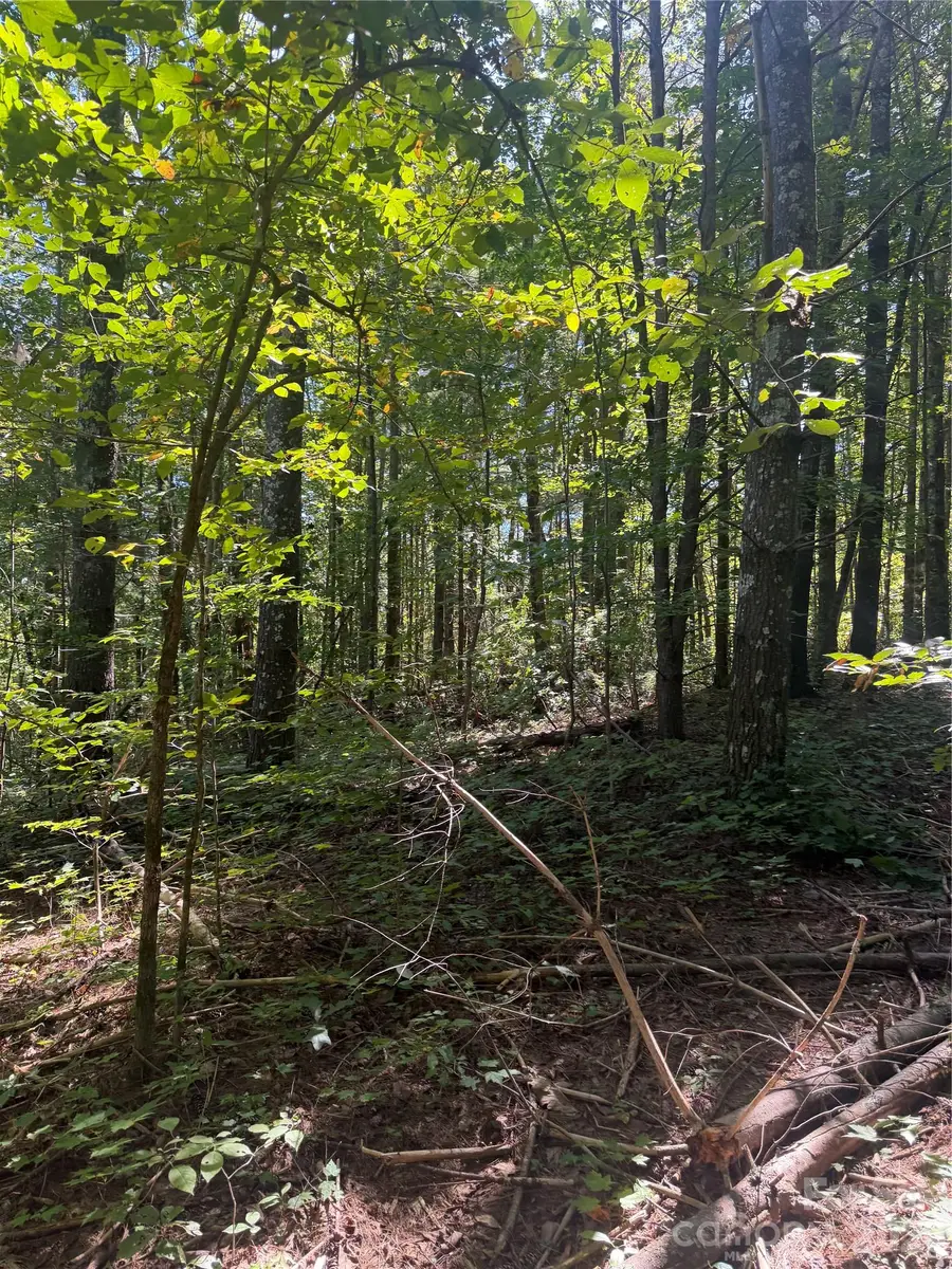 000 Old Neal Road, Marion, NC 28752 - #3
