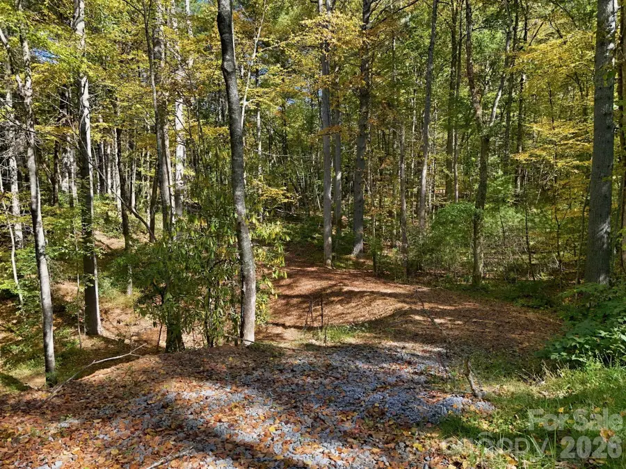2230 Evans Road, Hendersonville, NC 28739 - #3