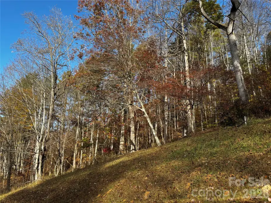 3575 Cane Creek Road, Bakersville, NC 28705 - #3