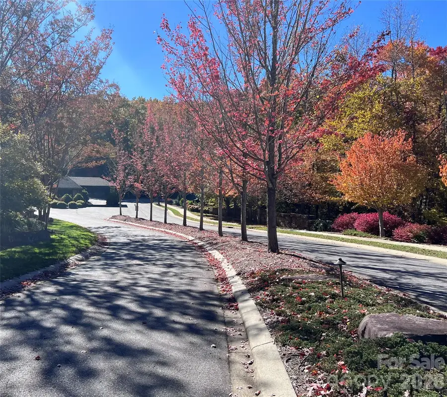 9 Settings Boulevard #36, Black Mountain, NC 28711 - #2