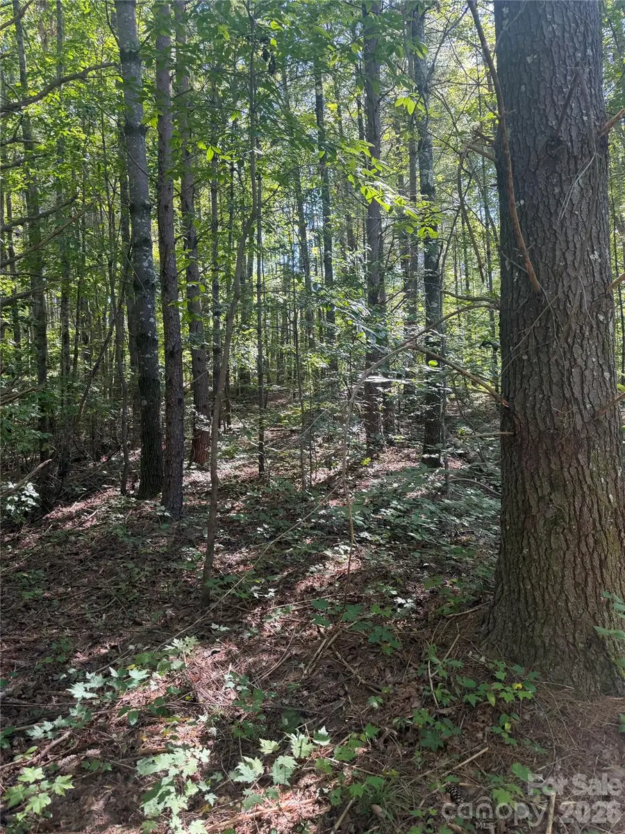 1202 Old Neal Road #1, Marion, NC 28752 - #3