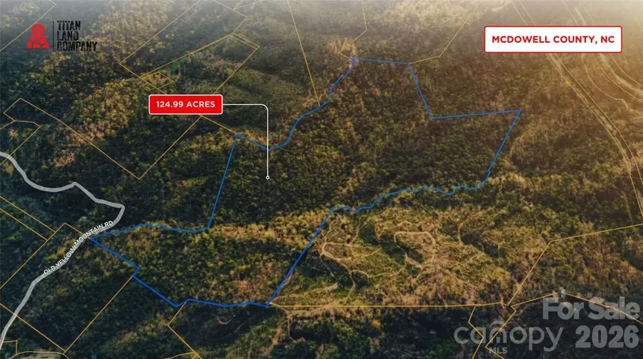 0 Old Yellow Mountain Drive, Marion, NC 28752 - #2