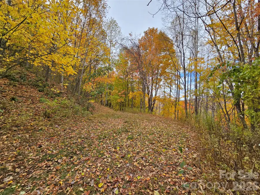 00 Sacred Cove Drive #1, Clyde, NC 28721 - #3