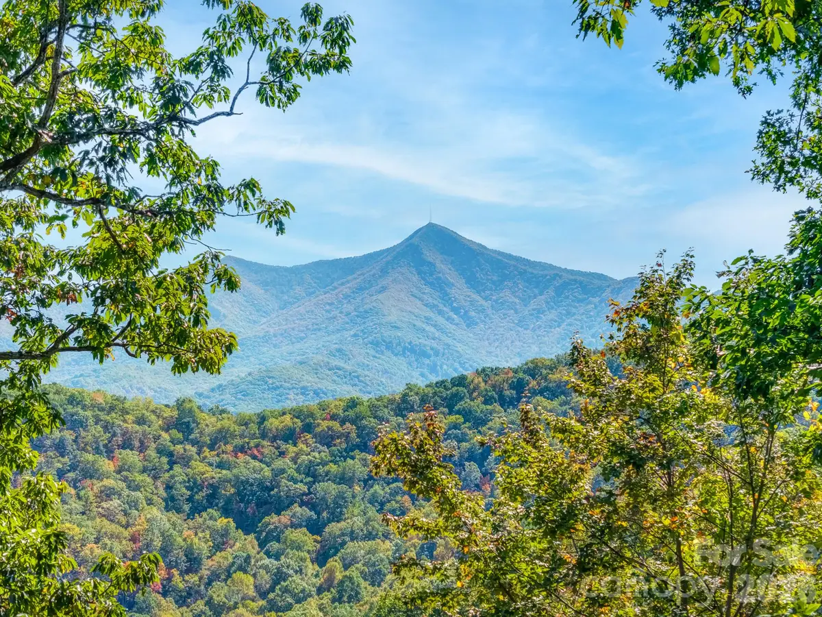100 White Rock Branch Road, Candler, NC 28715 - #1