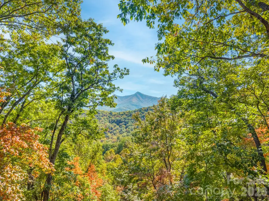 100 White Rock Branch Road, Candler, NC 28715 - #2