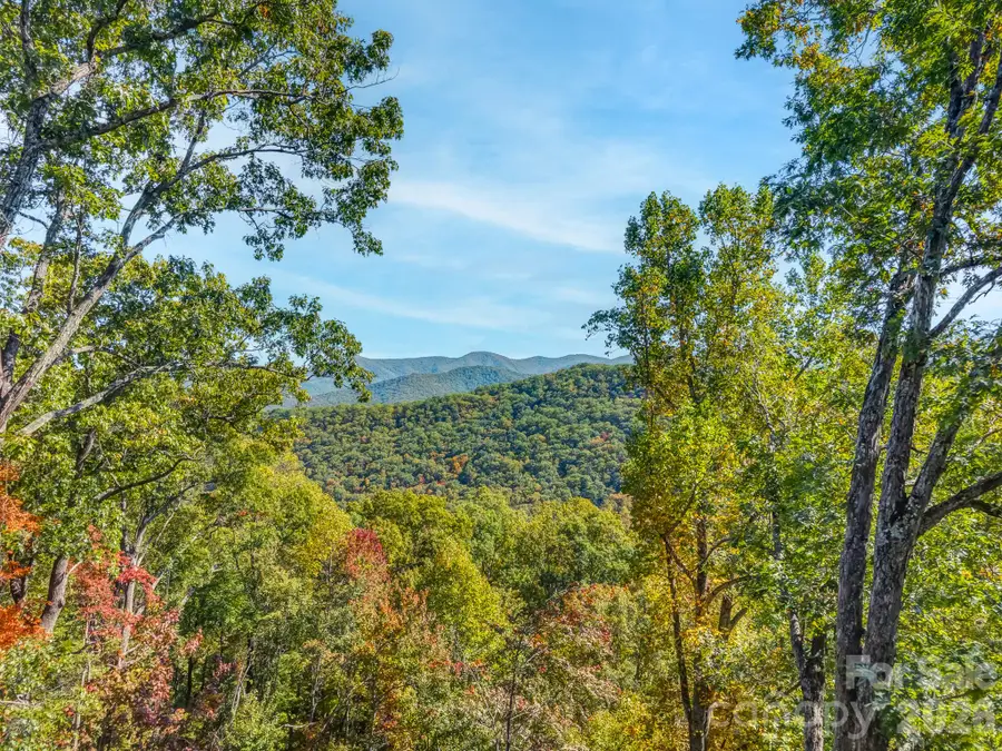 100 White Rock Branch Road, Candler, NC 28715 - #3
