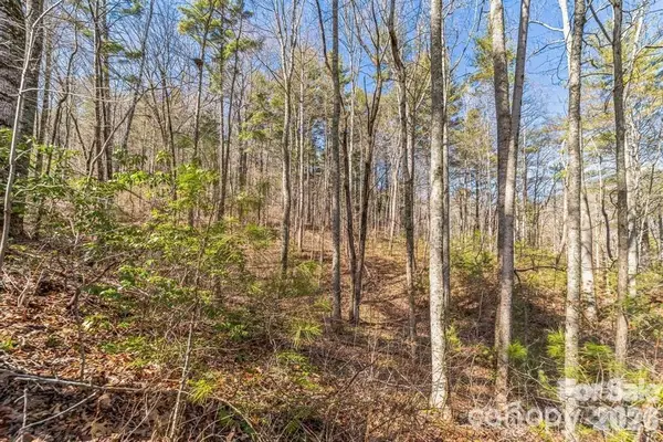 9999 Little Creek Drive, Nebo, NC 28761