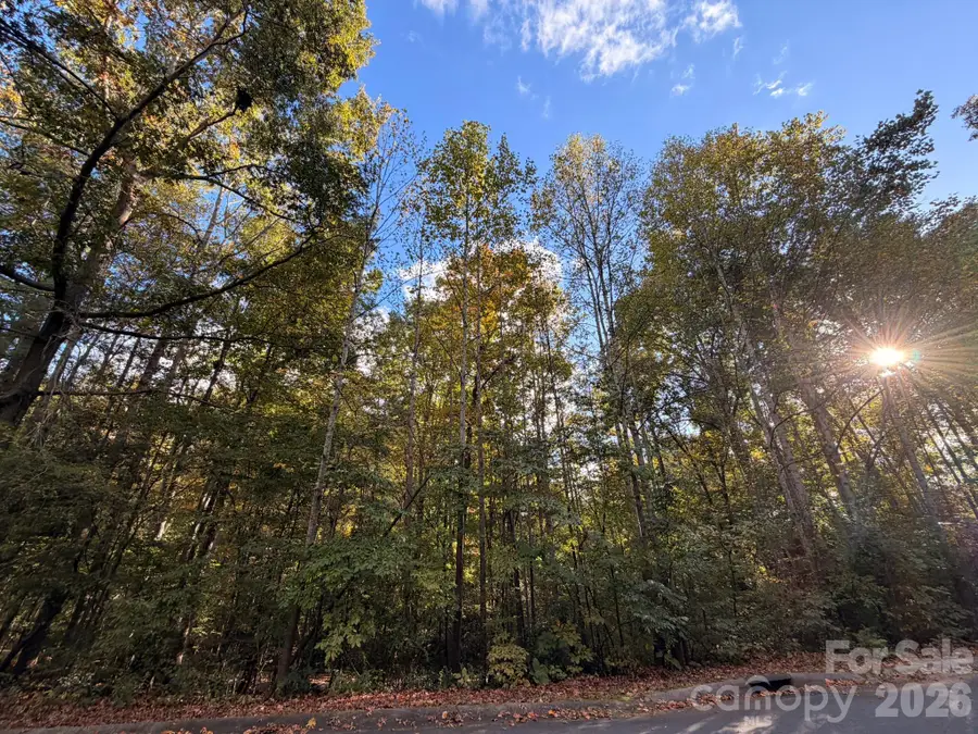 00 Charlotte Ann Ln Charlotte Ann Lane #34, Hickory, NC 28601 - #2