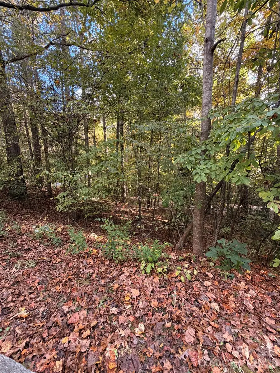 00 Charlotte Ann Ln Charlotte Ann Lane #34, Hickory, NC 28601 - #3