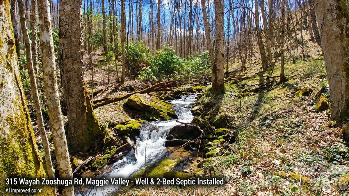 315 Wayah Zooshuga Road #28J, Maggie Valley, NC 28751 - #1