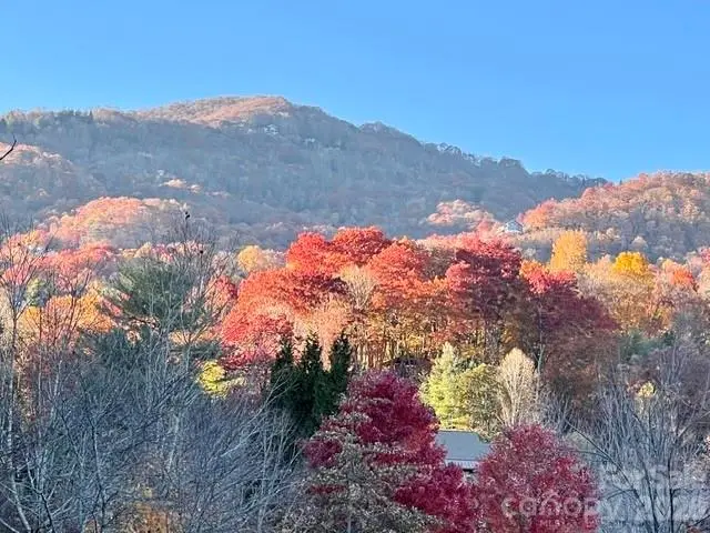 245 Greenview Drive, Maggie Valley, NC 28751 - #3