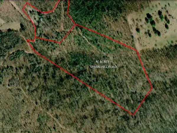n/a Spring Hill Rd, Hot Springs, VA 24445