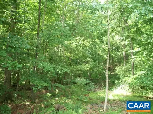 Lot 24 Woodthrush Ln, Barboursville, VA 22923 - Image #3
