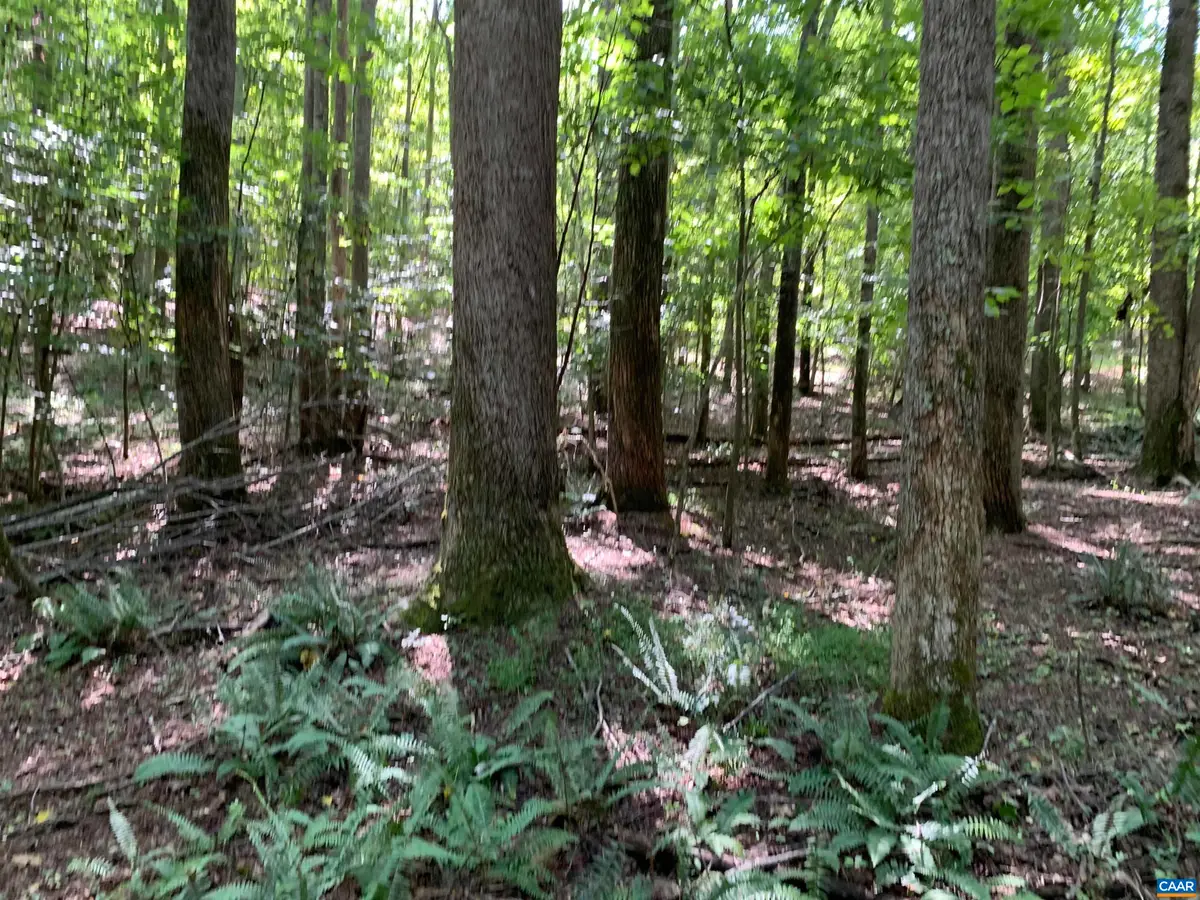 Lot1 Green Creek Rd, Schuyler, VA 22969 - Image #1