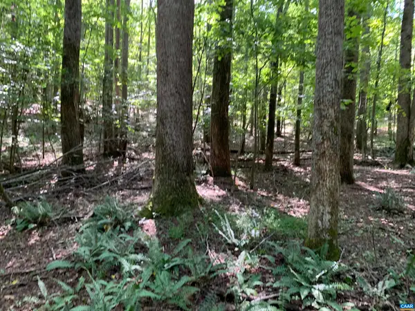 Lot1 Green Creek Rd, Schuyler, VA 22969