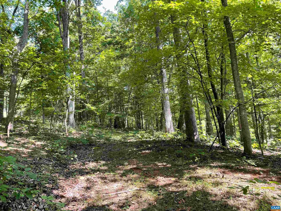 633 Stone Chimneys Rd, Nellysford, VA 22958 - #3