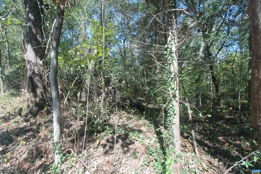 TBD 1 Toco Hl, North Garden, VA 22959 - Image #3