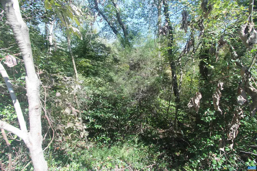 TBD-2 Toco Hl, North Garden, VA 22959 - Image #3