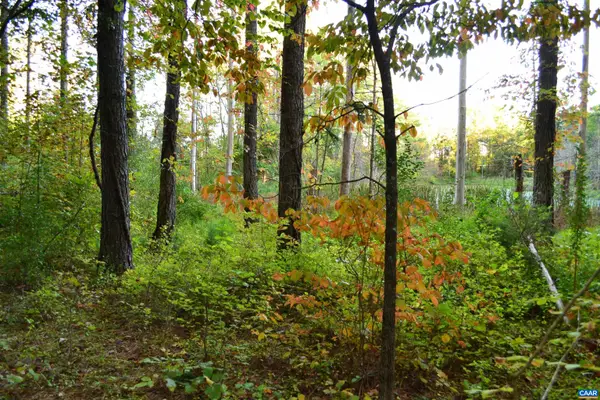 2A Scottsville Rd, Charlottesville, VA 22902