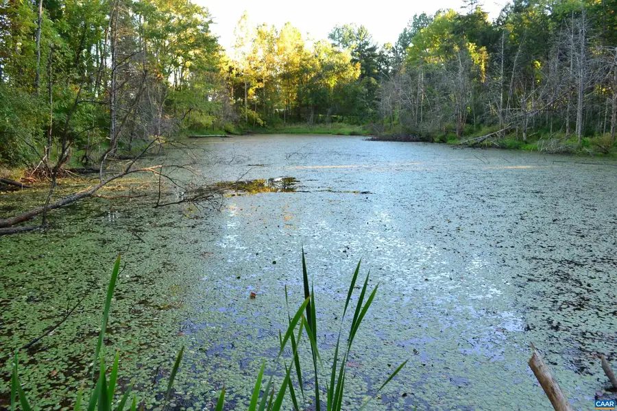 2A Scottsville Rd, Charlottesville, VA 22902 - Image #2