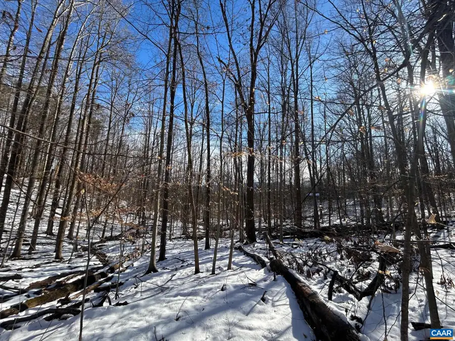 0 Stone Chimneys Rd, Wintergreen, VA 22958 - Image #3