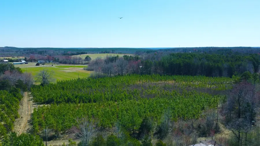 357 ac Renan Rd, Gretna, VA 24557 - Image #2