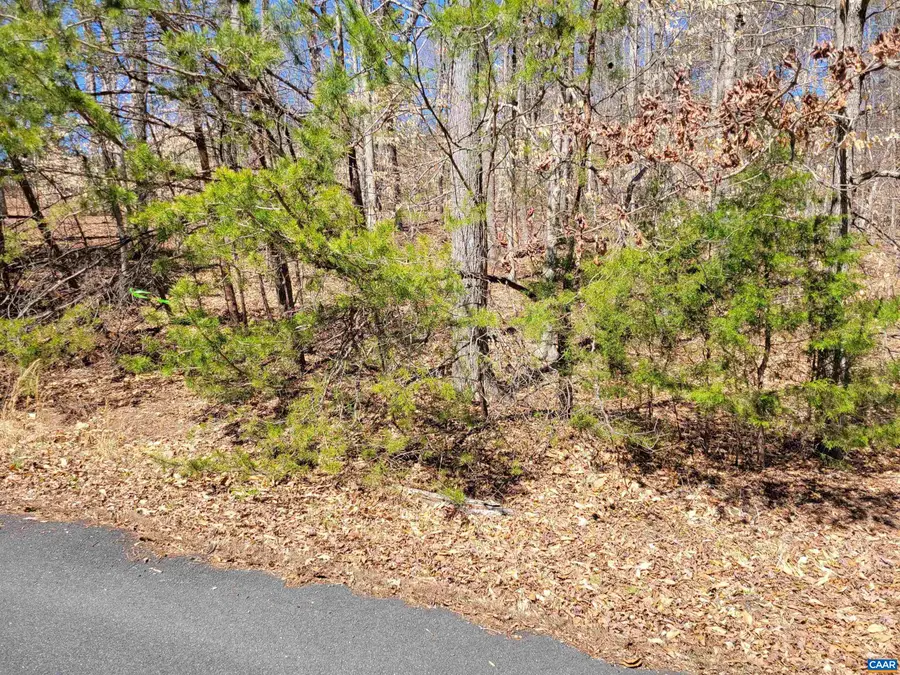 0 Merry Oaks Ln, Palmyra, VA 22963 - #3