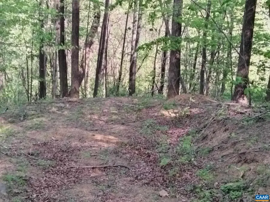 TBD Old Blue Ridge Tpke, Syria, VA 22743 - #3