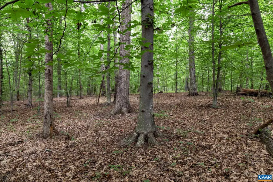 Lot 68 Palmer Pl, Ruckersville, VA 22968 - Image #3