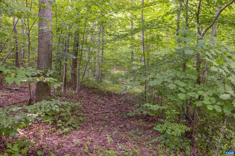 0 Mae Dr, Stanardsville, VA 22973 - #3