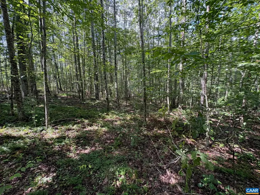 Part of TM 24-1 Mitchell Mountain Rd, Haywood, VA 22722 - Image #3