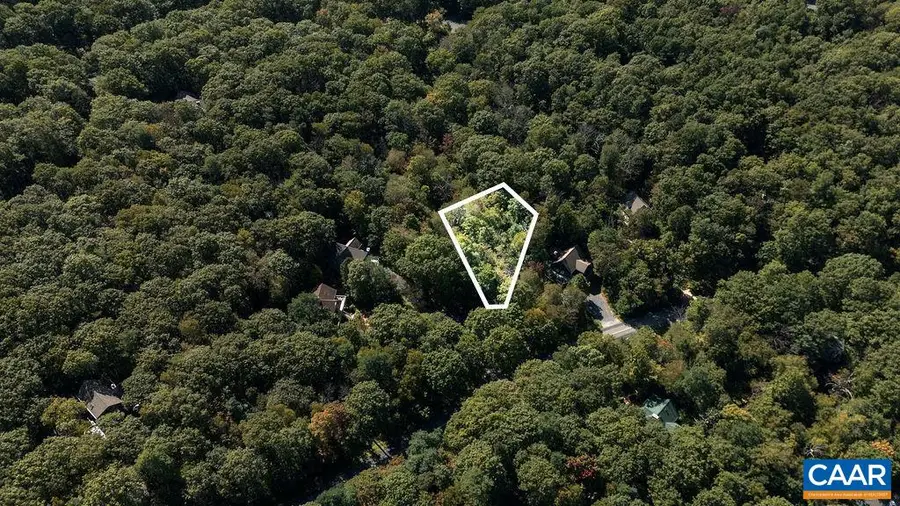 12 Dripping Rock Ln, Wintergreen Resort, VA 22967 - #3