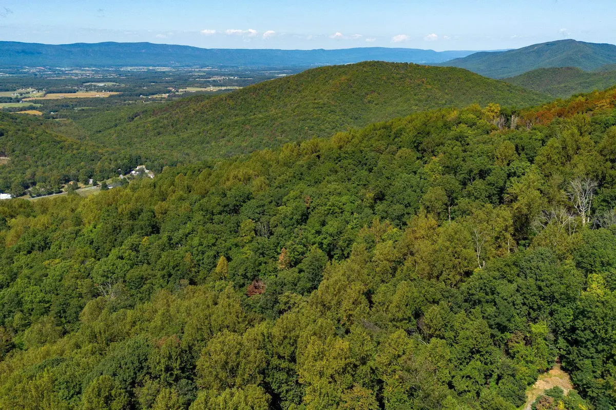 TBD Forest Homes Dr, Elkton, VA 22827 - Image #1