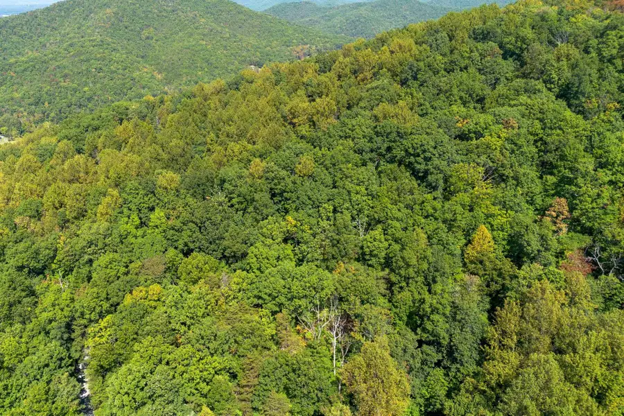 TBD Forest Homes Dr, Elkton, VA 22827 - Image #2