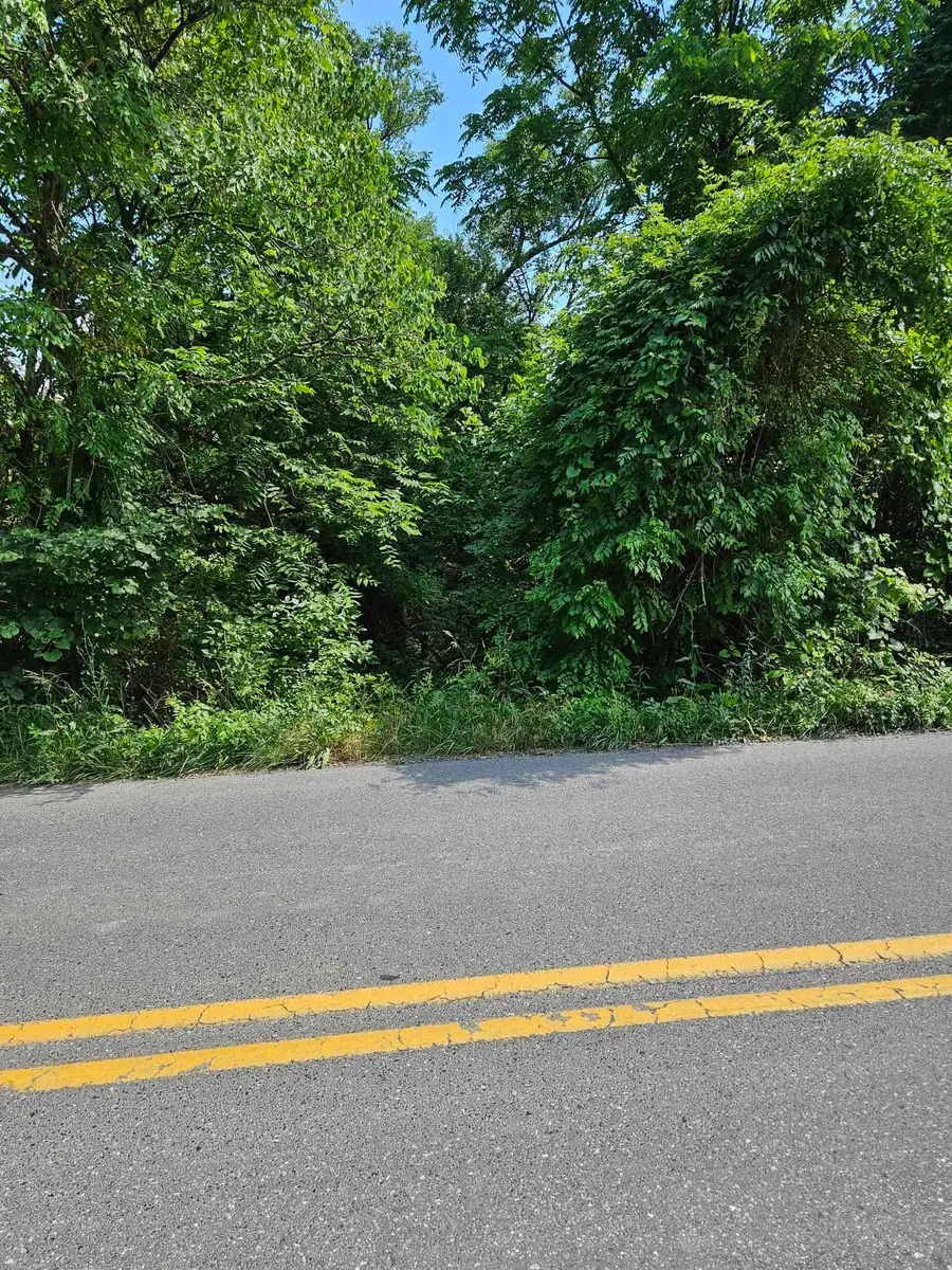 3 acres Mossy Creek Rd, Mount Solon, VA 22843 - #2